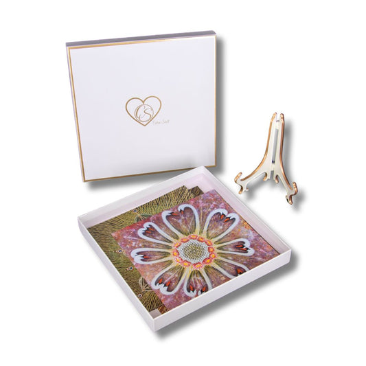 5 meditation cards in an exclusive gift box NEW